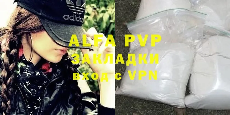 A PVP СК КРИС Шагонар